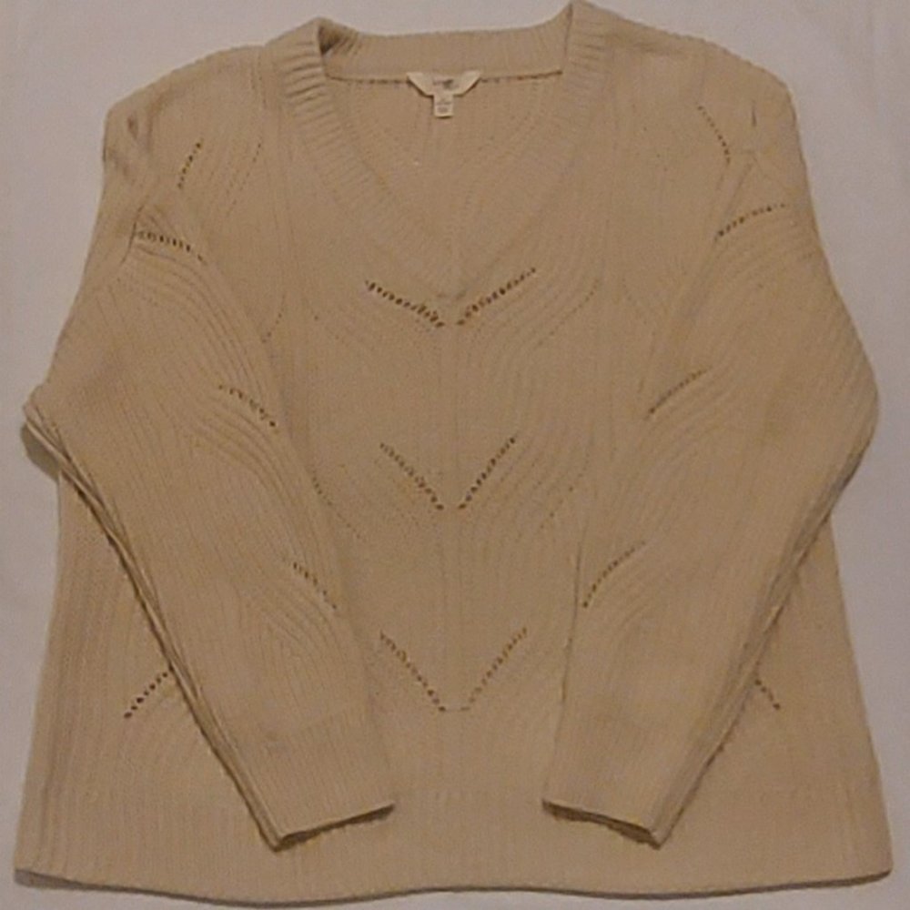 Terra & Sky 1X long sleeve sweater